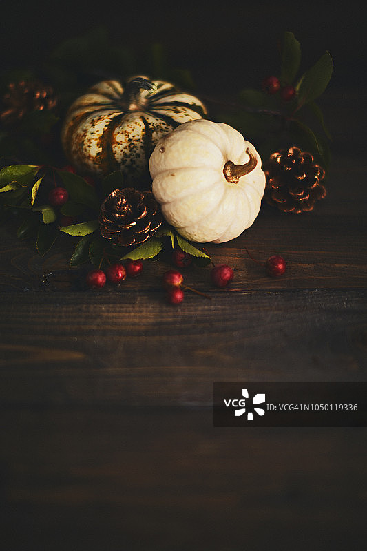 感恩节背景白色和斑驳的南瓜和浆果图片素材