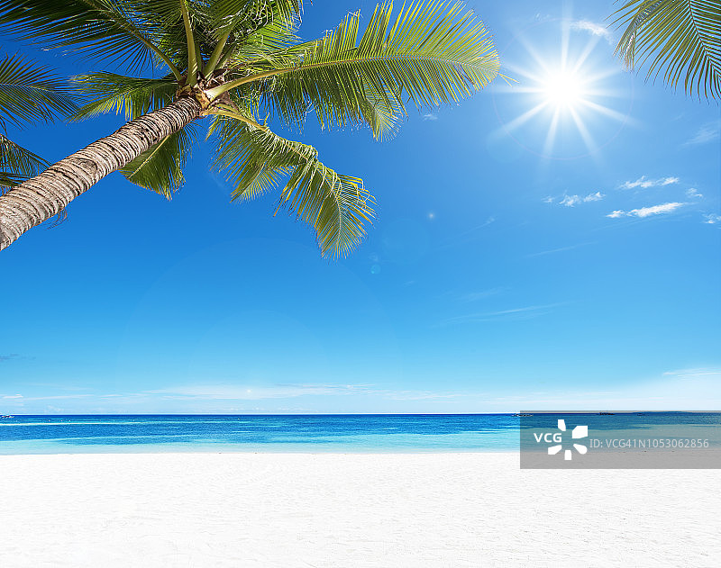 夏日热带天堂海滩和阳光图片素材
