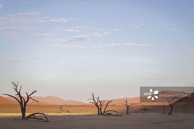纳米比亚哈dap地区纳米比亚- naukluft国家公园的Deadvlei风景优美。图片素材