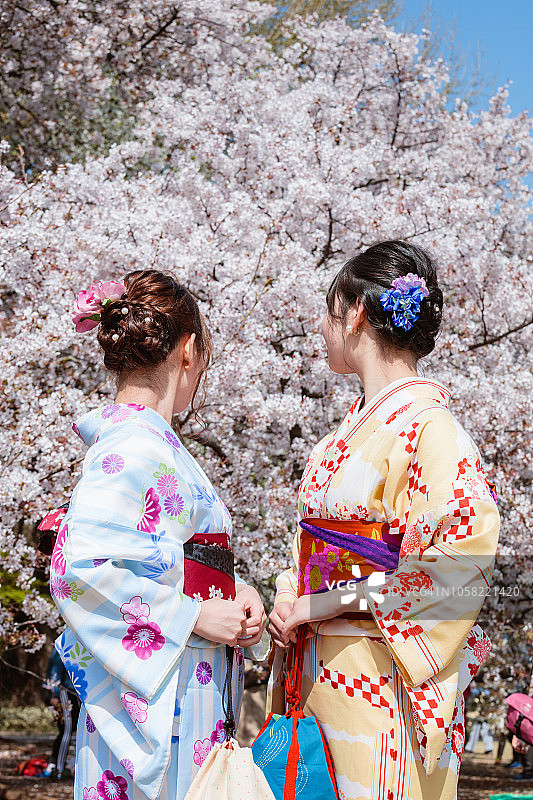 东京，两个穿着和服的女人站在樱花树前图片素材