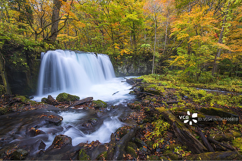 瀑布与秋天的树叶图片素材