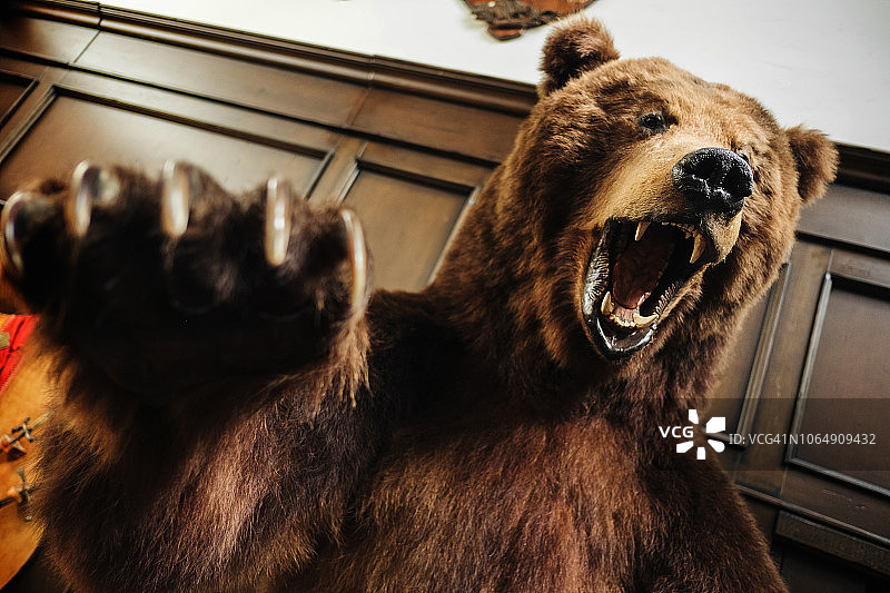 棕色好斗的熊，人的房子里的熊，可怕的房子里的熊，稻草人图片素材