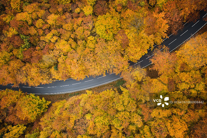 穿越秋天森林的道路-鸟瞰图图片素材