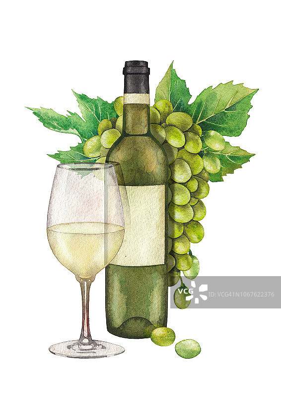 水彩白葡萄酒杯，瓶子和一串白葡萄叶图片素材