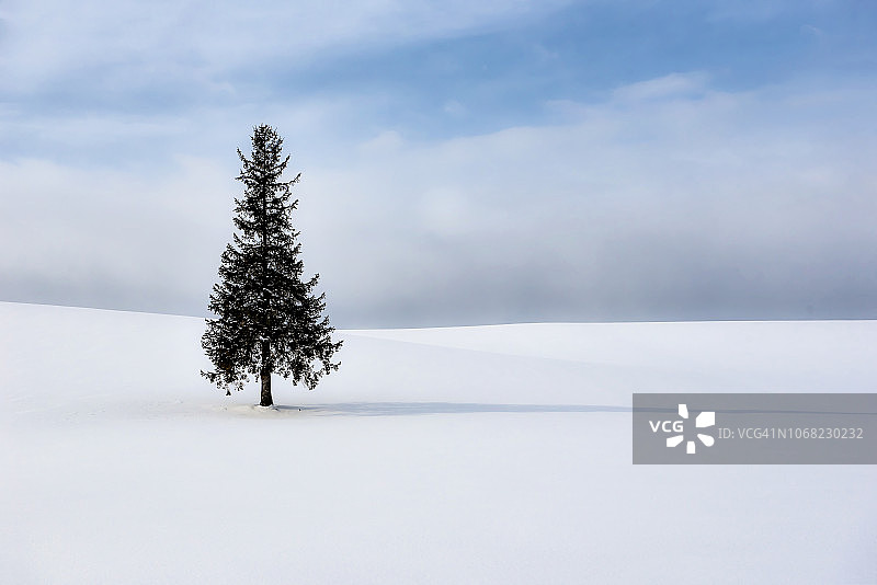 日本北海道，冬天，雪山上的孤独圣诞树图片素材