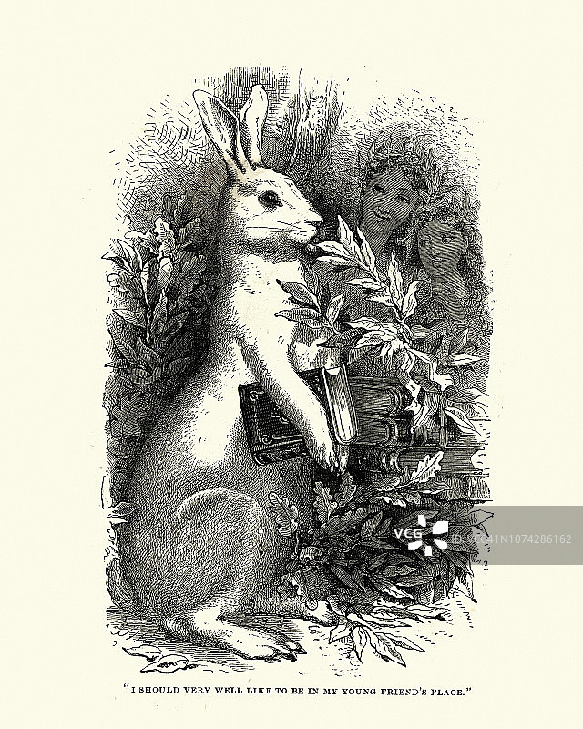 19世纪70年代的儿童插画，抱着书的小兔雪花莲图片素材
