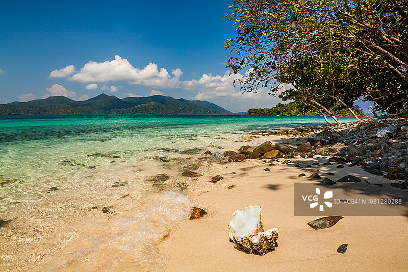 热带海滩上的贝壳景观图片素材
