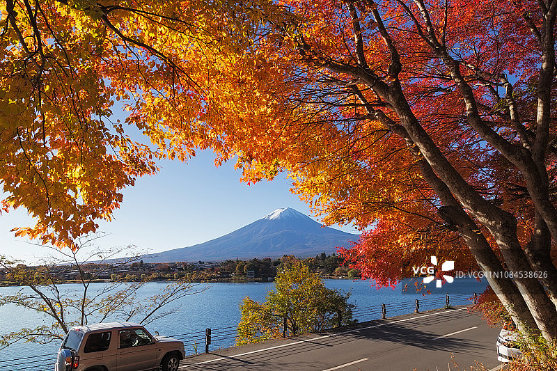 日本富士山的枫叶变成了秋天的颜色图片素材