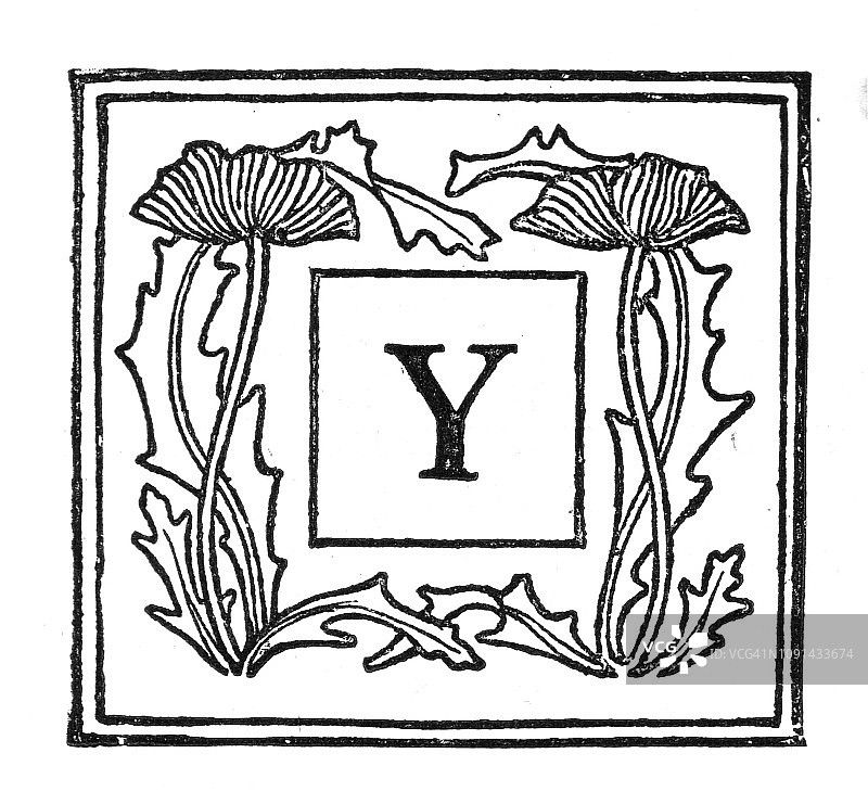 维多利亚时代的黑白版画，首字母大写Y，描绘了一种风格的花在一个厚边界内;1892年英语了图片素材