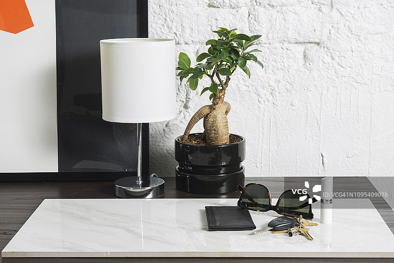 特写灯和室内植物的配件在桌子上的大理石图片素材