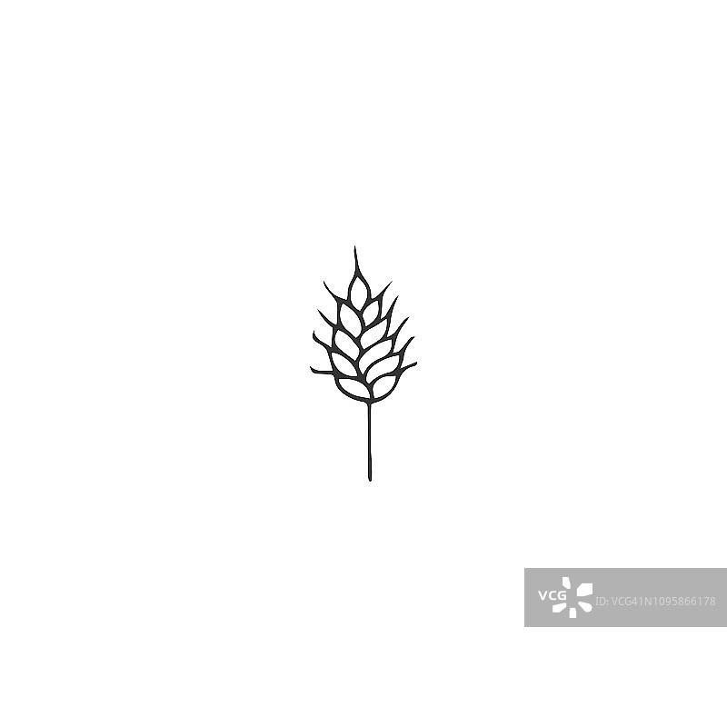 向量对象，一个小麦穗。手工绘制的标签元素。图片素材