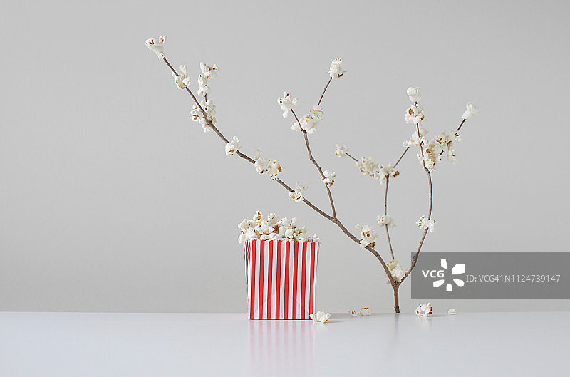 概念樱花和一袋爆米花图片素材