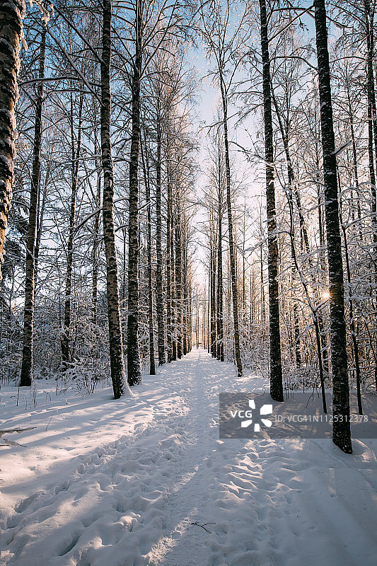 美丽的冬天的风景图片素材