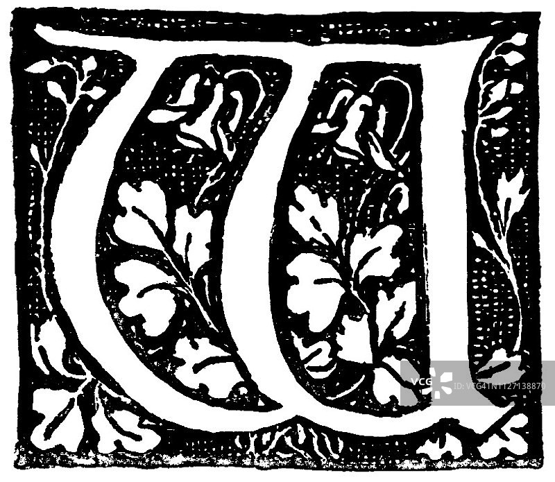 维多利亚时代的黑色和白色雕刻一个下降的首字母W描绘风格的花和叶子在黑色的背景与边界;19世纪书籍装饰;1892年英语了图片素材