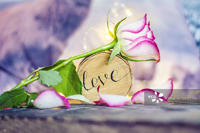 粉红色的玫瑰用白色的木刻着爱情。图片素材