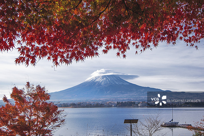 日本湖川口町的富士山，山顶有荚状云和秋阴天的红枫图片素材