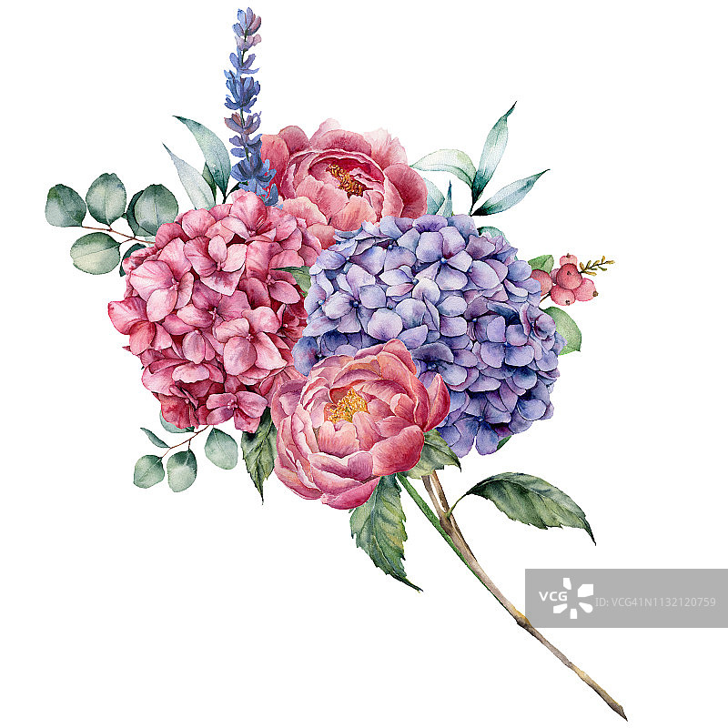 水彩绣球和牡丹花束。手绘粉色和紫罗兰花，薰衣草与桉树叶孤立在白色背景设计，印刷。图片素材