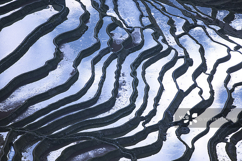 中国云南，春光明媚的鸳鸯梯田图片素材