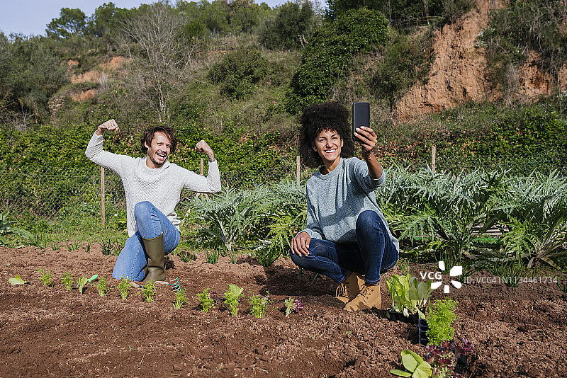 一对夫妇在菜园里种植生菜幼苗时自拍图片素材