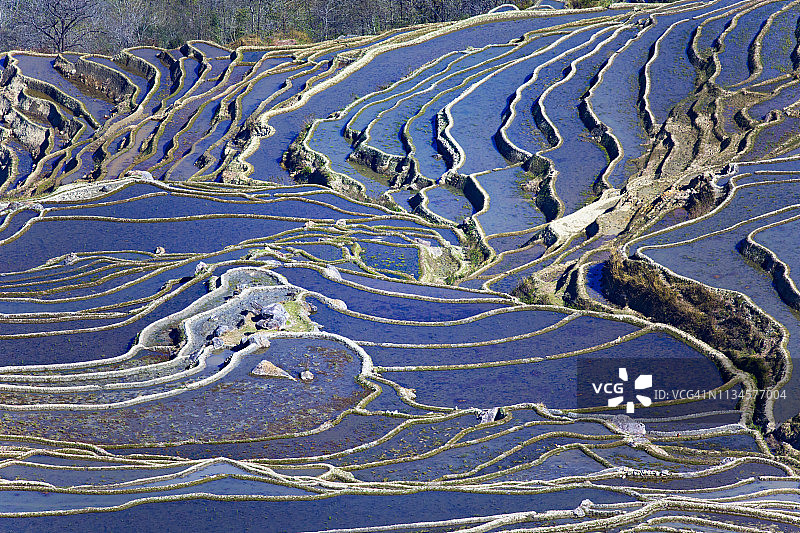 惊人的抽象纹理水稻梯田与天空彩色的倒影在水中图片素材