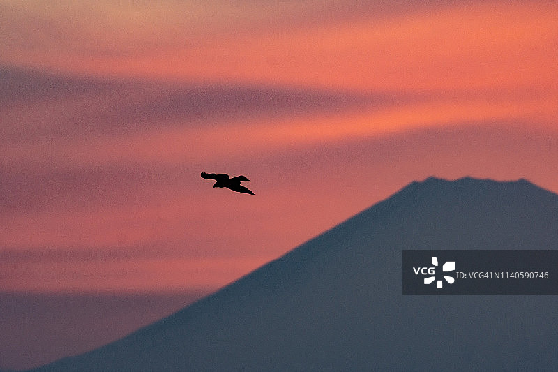 日本富士山上的风筝图片素材