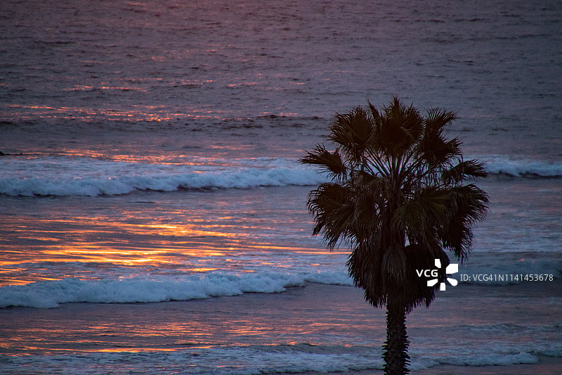 日落的棕榈树与冲浪的背景图片素材