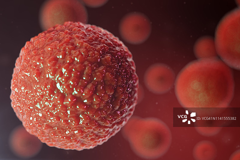 3D插图卵细胞胚胎。中央有红色核的胚细胞。人类或动物的卵细胞。医学科学的概念。在显微镜下在细胞水平上发育的生物。图片素材