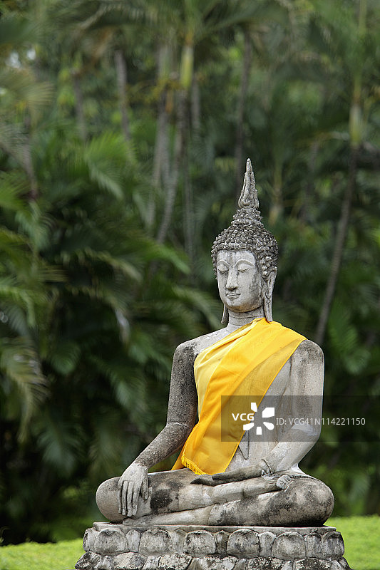 泰国Yai Chaya Mongkol寺树前的石佛图片素材