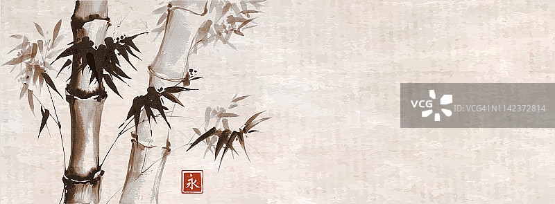 在古老的背景上的竹子。传统的日本水墨画。象形文字——永恒图片素材