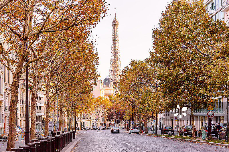 法国巴黎的街道，有埃菲尔铁塔和秋树图片素材
