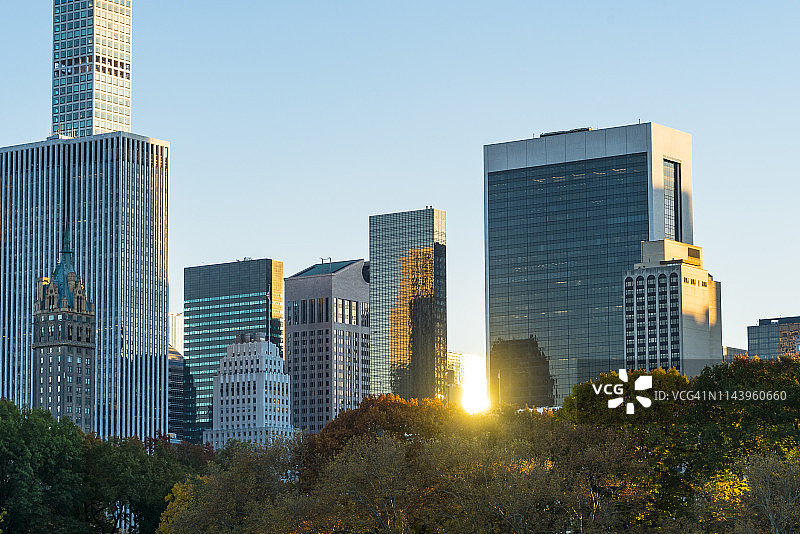 2018年11月8日，美国纽约，夕阳在曼哈顿中城的羊草地中央公园的树木后反射。图片素材