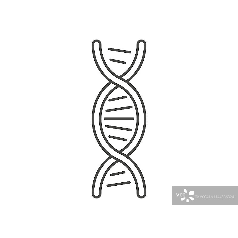 DNA螺旋的象征。孤立在白色背景上。图片素材
