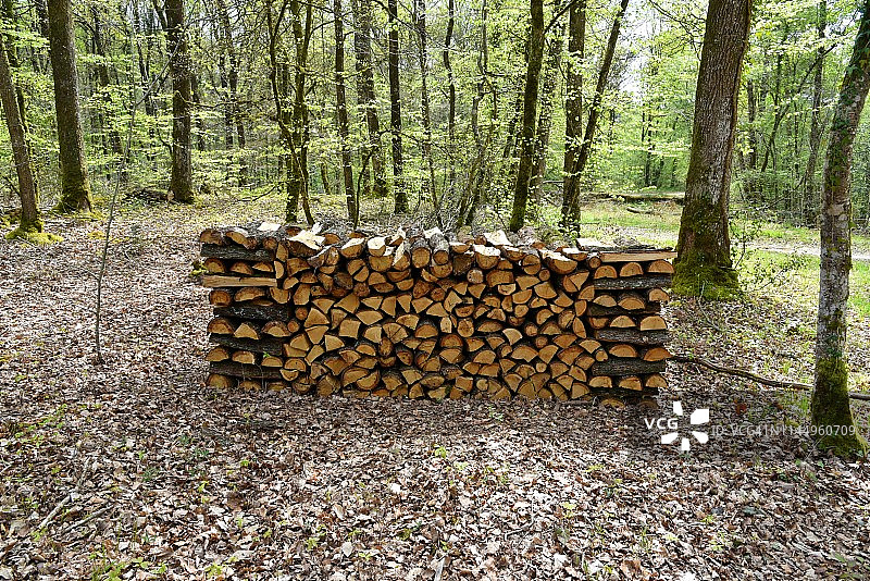 木材堆在森林法国图片素材