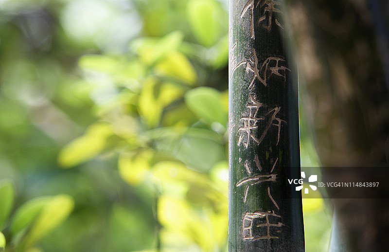 把汉字刻在竹子上。好运气图片素材