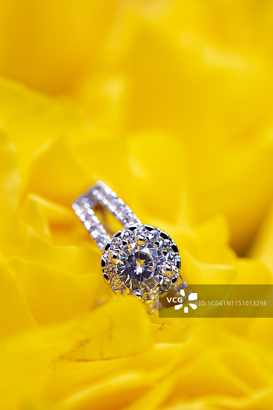 订婚戒指和黄玫瑰图片素材