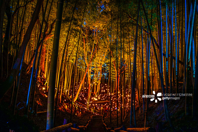 竹林(市民小桌城堡森林)的小口径灯图片素材