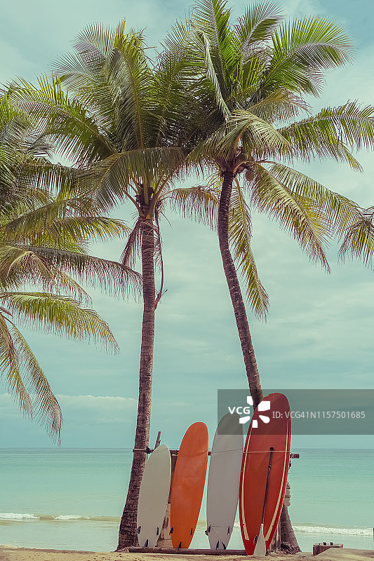 冲浪板和沙滩上的棕榈树。旅游冒险运动和暑假概念。复古色调过滤效果色彩风格。图片素材
