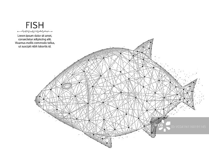 鱼低多边形设计，动物在多边形风格，水下世界线框矢量插图在白色背景图片素材