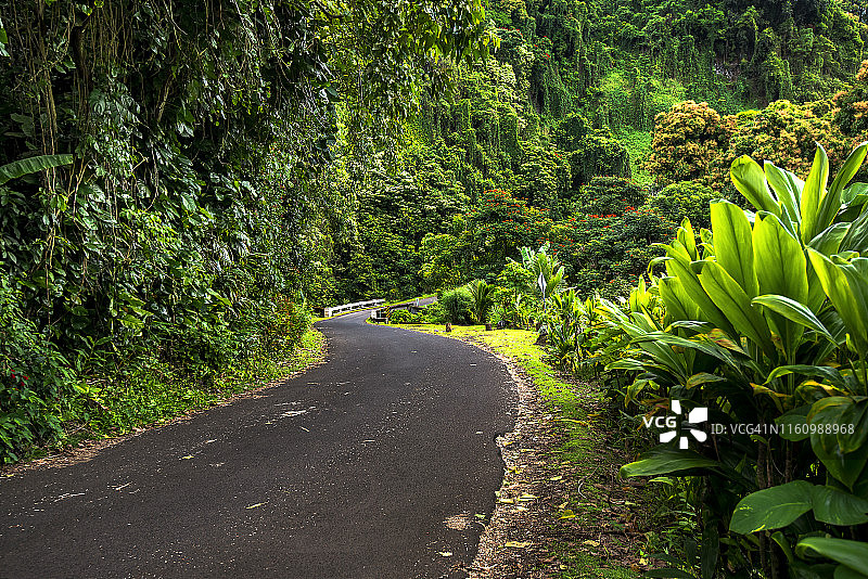 通往夏威夷毛伊岛哈纳岛的美丽之路图片素材