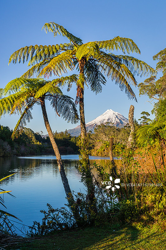 新西兰新普利茅斯曼加马霍湖的塔拉那基山。图片素材