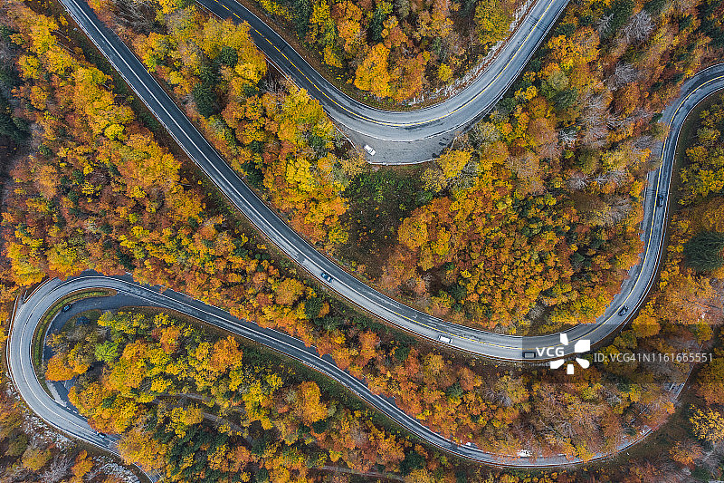 德国秋天森林中的道路图案图片素材