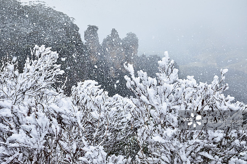 雪，暴风雪或暴风雪在三姐妹岩层，蓝山，澳大利亚图片素材