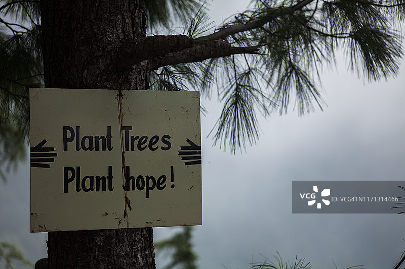 一棵树上的种植园活动公告板图片素材