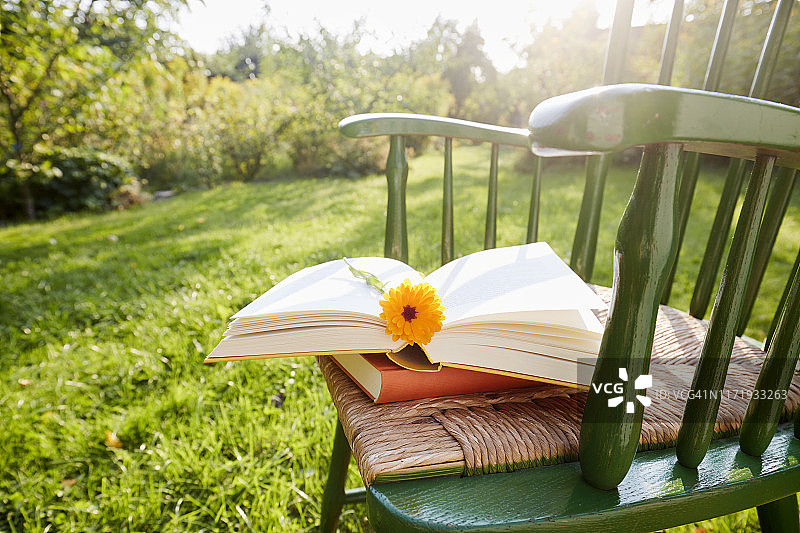 在阳光的照射下，在花园里的椅子上，一本打开的书，以一朵花作为书签的静物图片素材