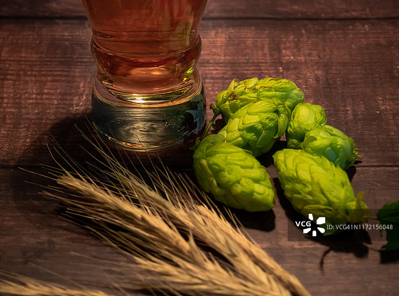 自制精酿啤酒:在啤酒花、麦穗旁，放一杯金色白泡啤酒图片素材