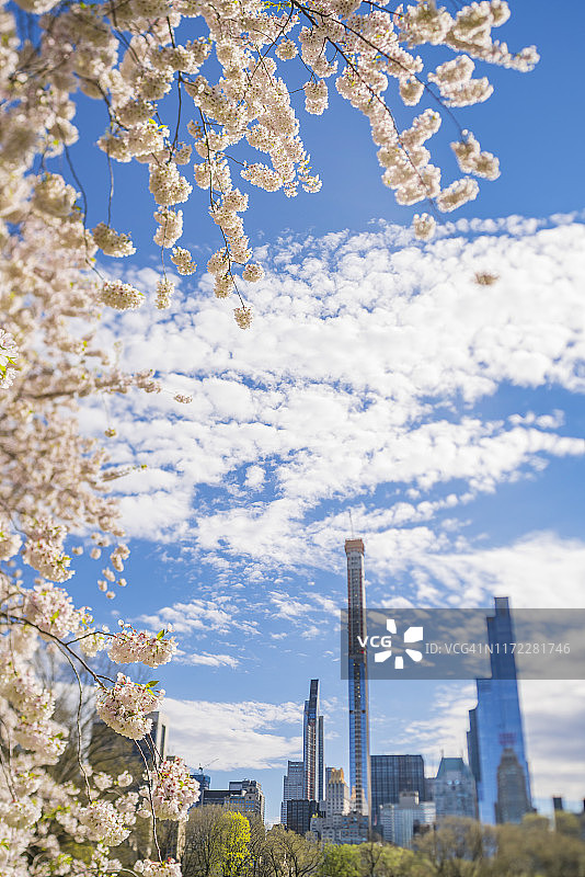 4月16日下午，在美国纽约中央公园，云朵在樱花盛开的草地上飘过曼哈顿中城区的摩天大楼。图片素材