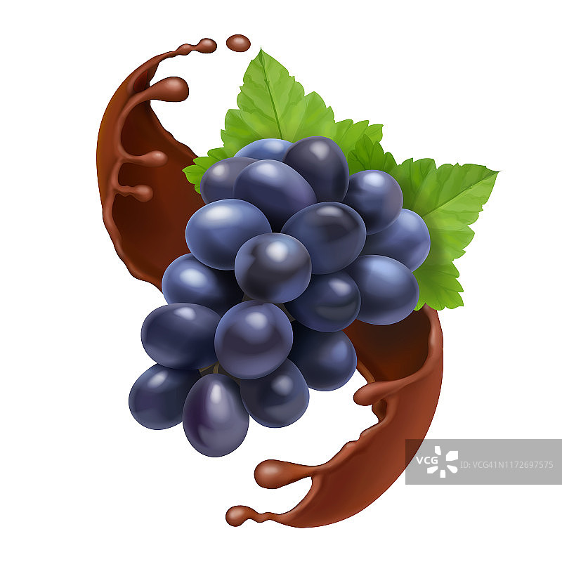 一串黑葡萄在巧克力飞溅，现实的矢量插图。图片素材