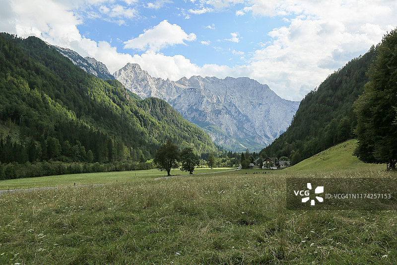 斯洛文尼亚阿尔卑斯山下的洛加尔山谷。图片素材