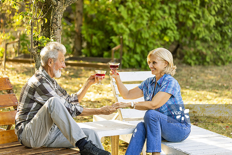 微笑的老夫妇坐在院子里敬酒图片素材