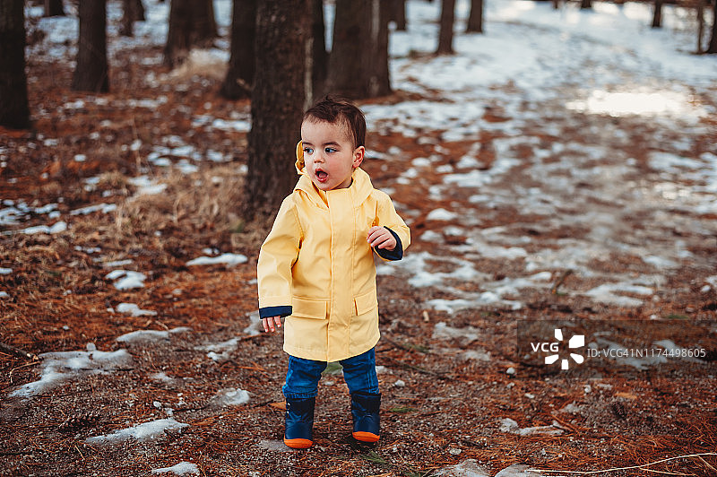 19个月大的双胞胎男孩穿着黄色雨衣在森林里探险图片素材